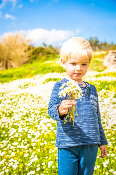 Carino bambino è tenendo un mazzo di margherita fiore — Foto Stock