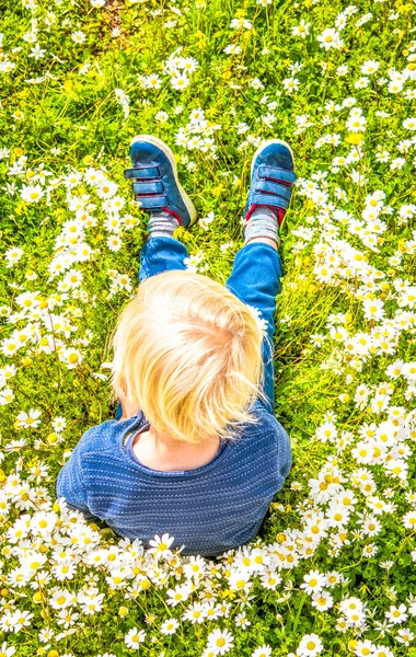 Bambino biondo seduto in un prato di fiori margherita — Foto Stock