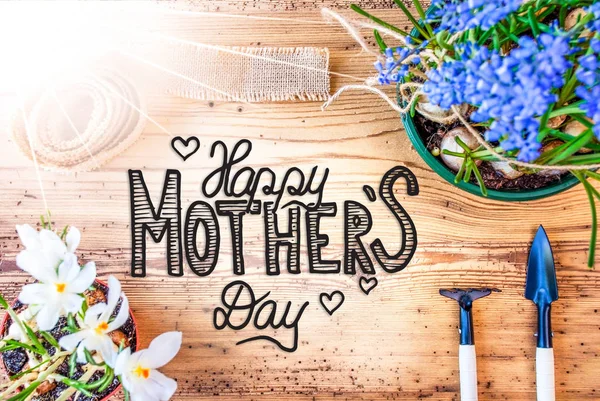 Aurinkoinen kevät kukat, Kalligrafia Hyvää äitienpäivää — kuvapankkivalokuva
