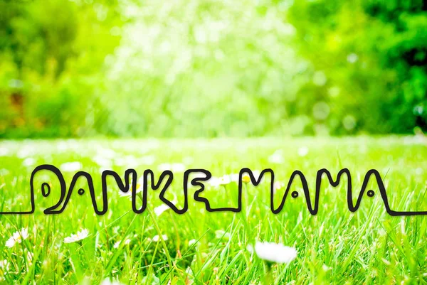 Frühlingswiese, Gänseblümchen, Kalligrafie, Mama bedeutet Danke Mama — Stockfoto