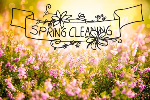 Sunny Erica Flower Field, Calligraphy Spring Cleaning — Stock Photo, Image