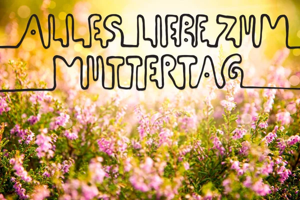 Erica Virágföld, kalligráfia Muttertag azt jelenti, boldog anyák napja — Stock Fotó