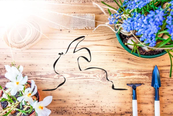 Flores soleadas de primavera, Ilustración del conejo de Pascua, Fondo de madera —  Fotos de Stock