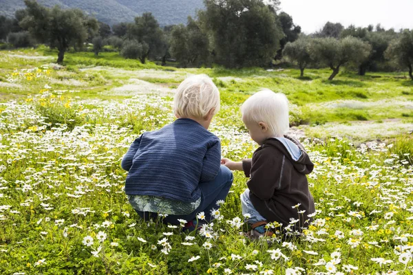 Due figli, fratelli, seduti in un prato di fiori margherita — Foto Stock