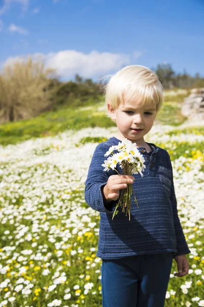 Carino bambino è tenendo un mazzo di margherita fiore — Foto Stock