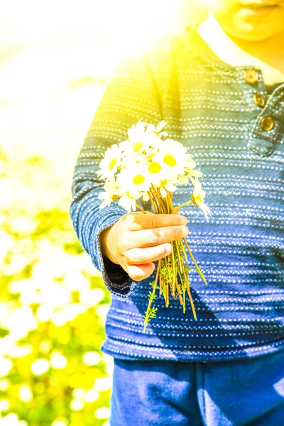 Copilul ține un buchet de Daisy Flower — Fotografie, imagine de stoc