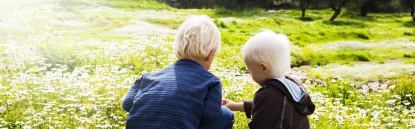 Zwei Kinder, Brüder, sitzen auf einer Gänseblümchenblumenwiese — Stockfoto