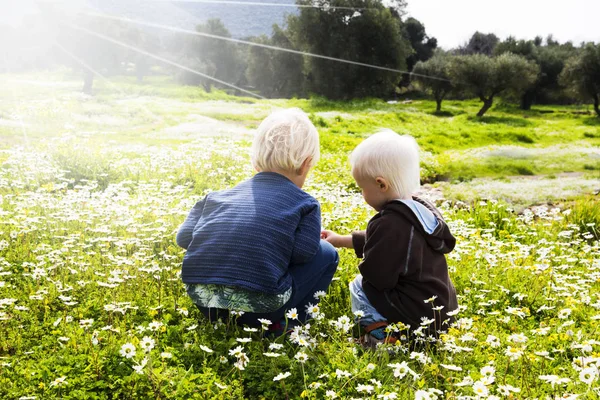 Doi copii, frați, stând într-o pajiște de flori Daisy — Fotografie, imagine de stoc