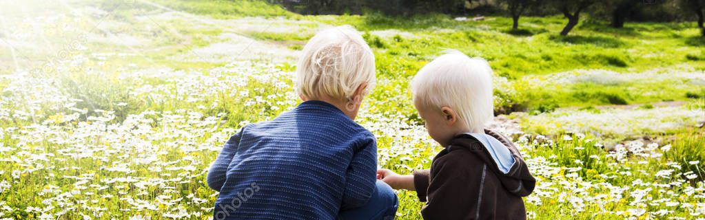 Two Children, Brothers, Sitting In A Daisy Flower Meadow