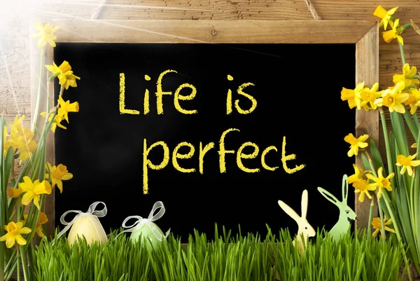 Narciso ensolarado, Ovo de Páscoa, Coelho, Citação A vida é perfeita — Fotografia de Stock