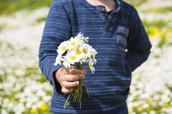 Bambino piccolo è holding un mazzo di margherita fiore — Foto Stock