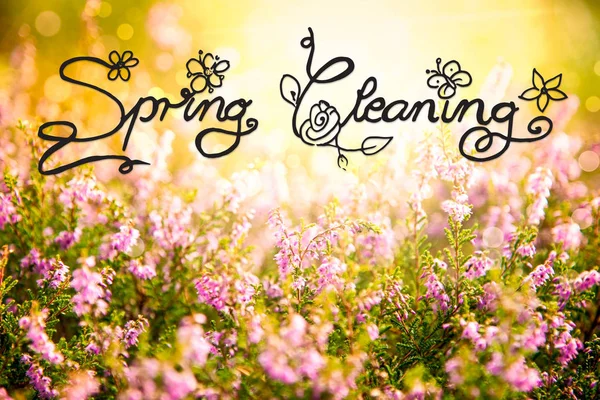 Sunny Erica Flower Field, Calligraphy Spring Cleaning — Stock Photo, Image