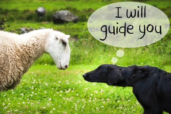 Hond ontmoet schapen, tekst zal ik u begeleiden — Stockfoto
