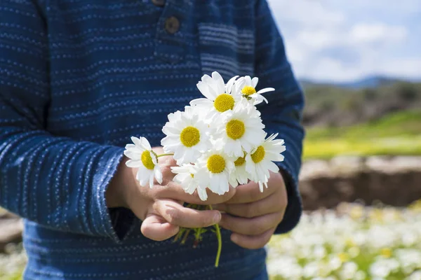 Kleines Kind hält einen Strauß Gänseblümchen in der Hand — Stockfoto