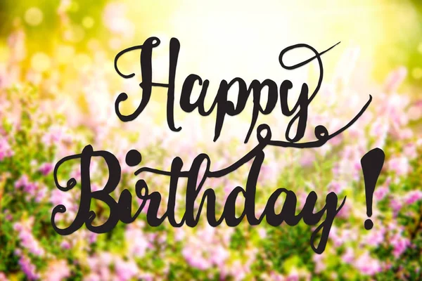 Sunny Erica Flower Field, Calligraphy Happy Birthday — Stock Photo, Image