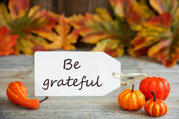 Label With Text Be Grateful, Pumpkin And Leaves — Stock Photo, Image