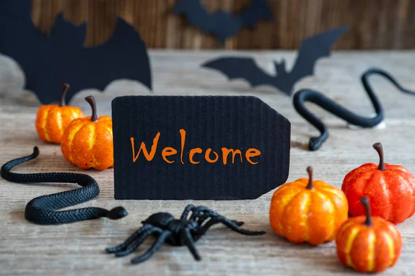 Etiqueta Negra, Texto Bienvenido, Scary Halloween Decoración — Foto de Stock