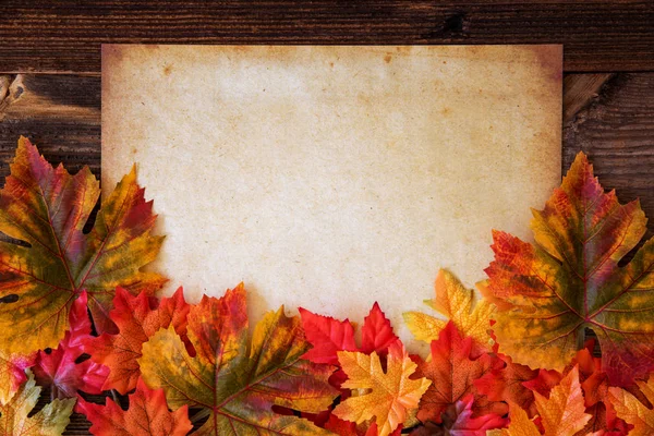 Old White Paper With Copy Space, Colorful Leaves Decoration — ストック写真