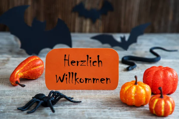 Orange etikett, Willkommen betyder välkommen, skrämmande halloween dekoration — Stockfoto