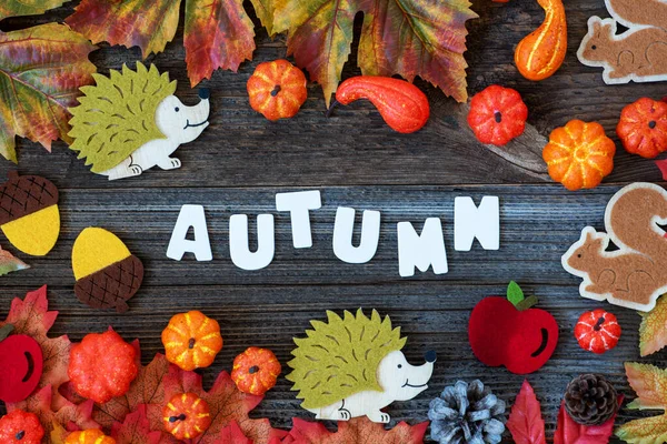Kolorowe dekoracje jesienią, Autum tekstu, Drewniane tło — Zdjęcie stockowe