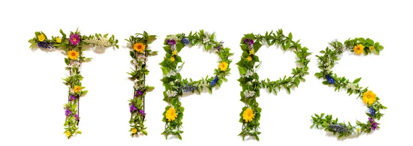 Blomma och blomma Brev Building Word Tipps Betyder Tips — Stockfoto