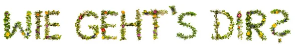 Flor e flor letra construção palavra Wie Gehts Dir significa como você está — Fotografia de Stock