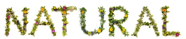 Fiore e fiore lettera costruzione parola naturale — Foto Stock