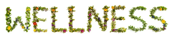 Flower And Blossom Letter Building Word Wellness — Stock Photo, Image