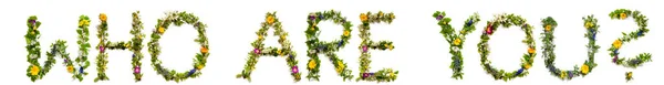 Bloem en Blossom Letter Building Word Wie ben jij — Stockfoto