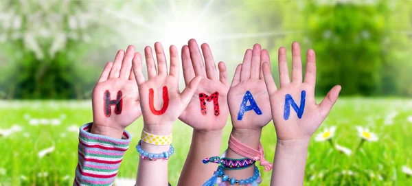 Children Hands Building Word Human, Grass Meadow — Stock fotografie