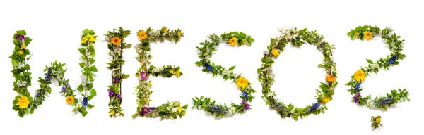 Flor e flor letra construção palavra Wieso significa por que — Fotografia de Stock