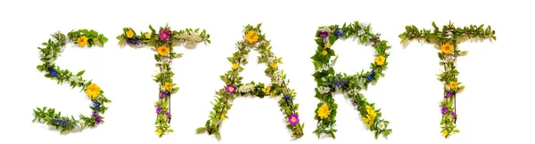 Flower And Blossom Letter Building Word Start — Stock Photo, Image