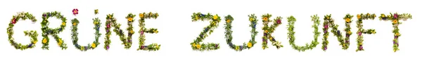 Çiçek ve Çiçek Harfler Sözcük Oluşturma Gruene Zukunft Yeşil Gelecek Anlamı — Stok fotoğraf