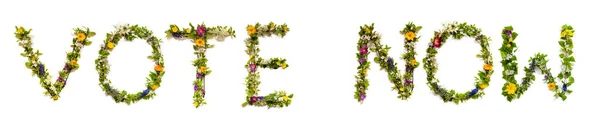 Květina a květ dopis Stavební slovo Hlasujte nyní — Stock fotografie