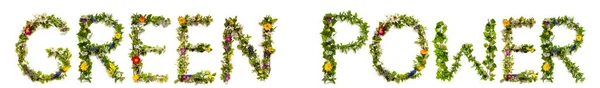 Květina a květ dopis stavební slovo naděje — Stock fotografie