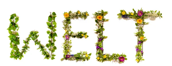 Virág és virág levél épület Word Welt jelent világot — Stock Fotó