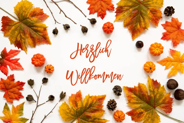 Decoração colorida brilhante da folha do outono, Herzlich Willkommen significa bem-vindo — Fotografia de Stock