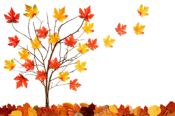 Boom met kleurrijke bladdecoratie, bladeren vliegen weg, kopieerruimte — Stockfoto
