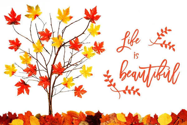 Boom met kleurrijke bladdecoratie, Engels kalligrafie Het leven is mooi — Stockfoto