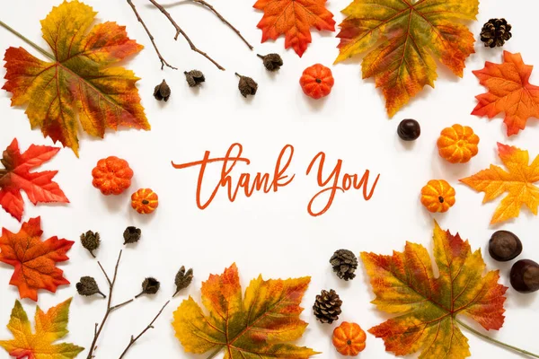 Heldere kleurrijke herfst blad decoratie, Engels tekst dank u — Stockfoto