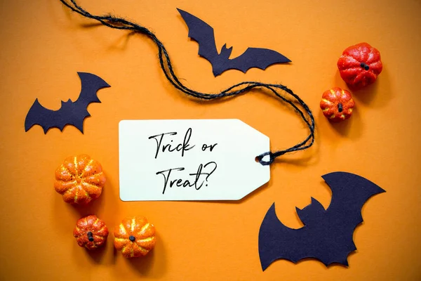 Label With Text Trick Or Treat, Halloween And Autumn Decoration — Stock Photo, Image