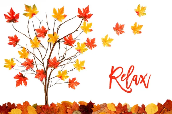 Träd med färgglada blad dekoration, blad flyger iväg, Text Relax — Stockfoto