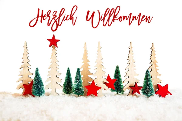 Albero di Natale, Neve, Stella Rossa, Willkommen significa benvenuto — Foto Stock