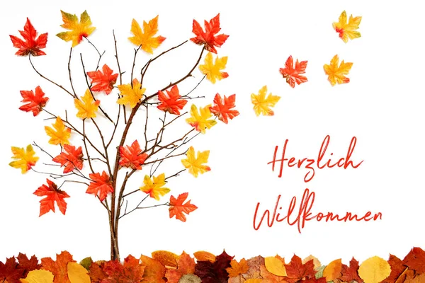 Árbol con decoración colorida de la hoja, hojas que vuelan lejos, Willkommen significa la recepción —  Fotos de Stock
