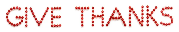 Bola de Natal vermelho ornamento edifício palavra dar graças — Fotografia de Stock