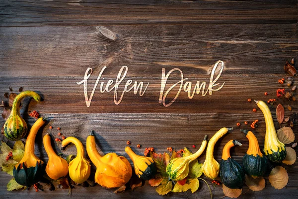 Colorful Pumpkins As Autumn Season Decoration, Vielen Dank Means Thank You — Stock Photo, Image