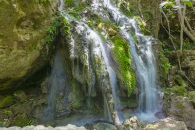 Yosunlu kayaların arasında güzel bir orman şelalesi. Uzun pozlu çekim, sinema fotoğrafı. Vahşi doğa, ulusal park. Yürüyüş, seyahat..