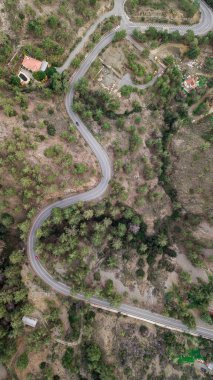 Kıbrıs ağaçları ile çevrili curvy hill yolu havadan görünümü