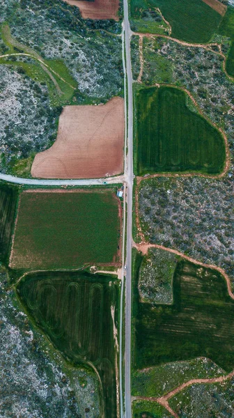 Agriculture — Stock Photo