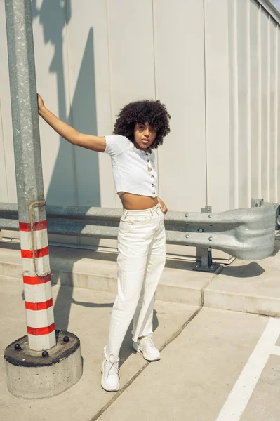 Schöne stilvolle afrikanisch-amerikanische Mädchen lehnt an Stange und schaut in die Kamera auf der Straße — Stockfoto